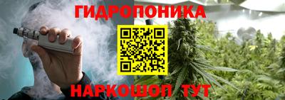 молекула духа Заволжье