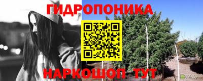 ПСИЛОЦИБИНОВЫЕ ГРИБЫ Жуковский
